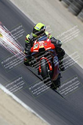 media/Aug-31-2024-TrackDaz (Sat) [[d39206e9d9]]/A Group/10a (Turn 3)/